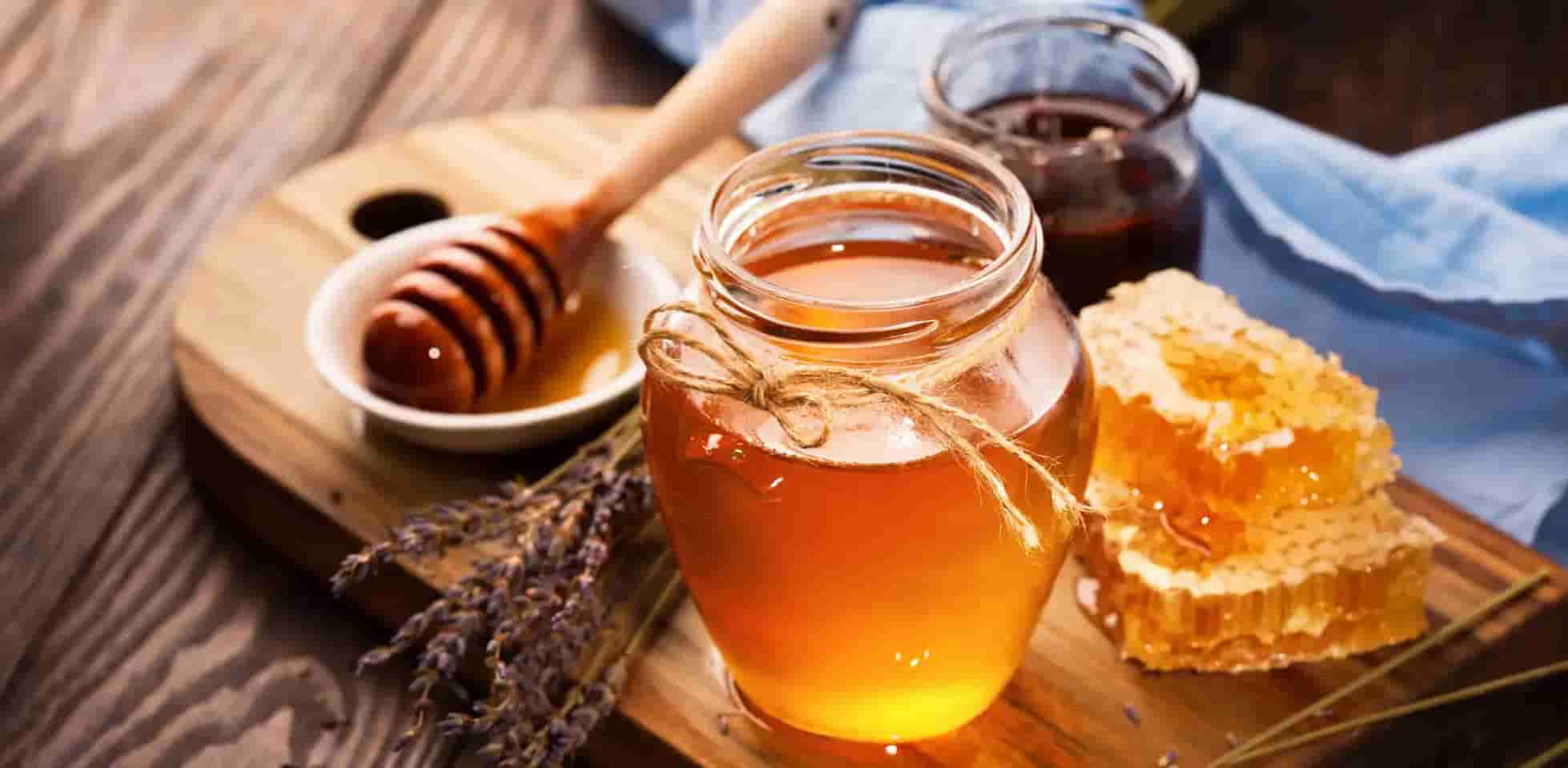 تصویر 1 از عسل کنار طبیعی + خرید عمده